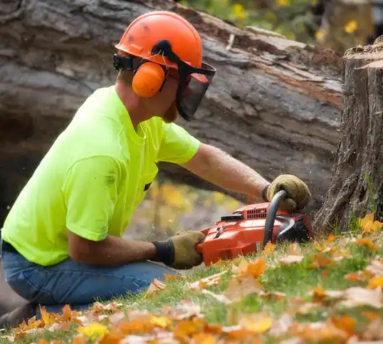 tree services Pumpkin Center